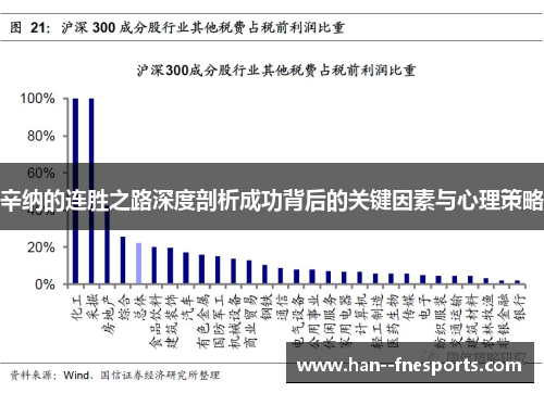 辛纳的连胜之路深度剖析成功背后的关键因素与心理策略